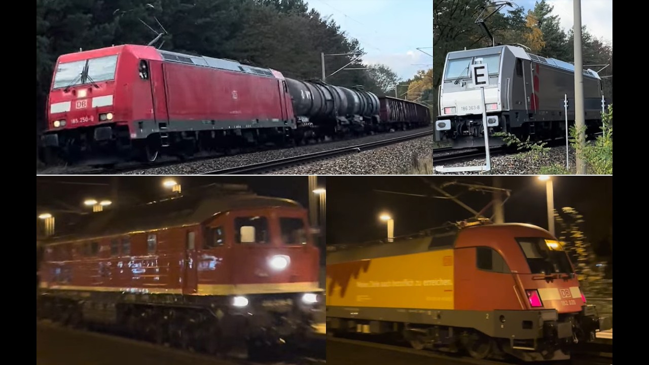 Viele Makros, Züge im Gegengleis und auf der Langsamfahrstelle