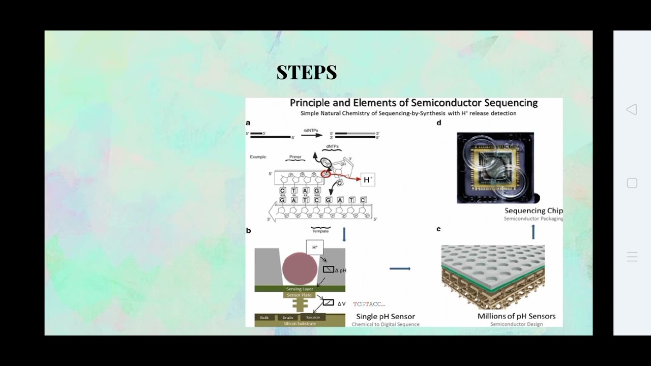 Ion semiconductor sequencing