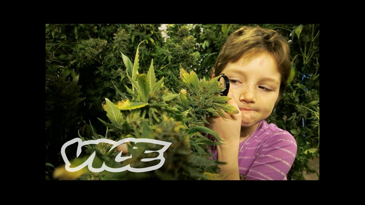 Marijuana Minors | WEEDIQUETTE