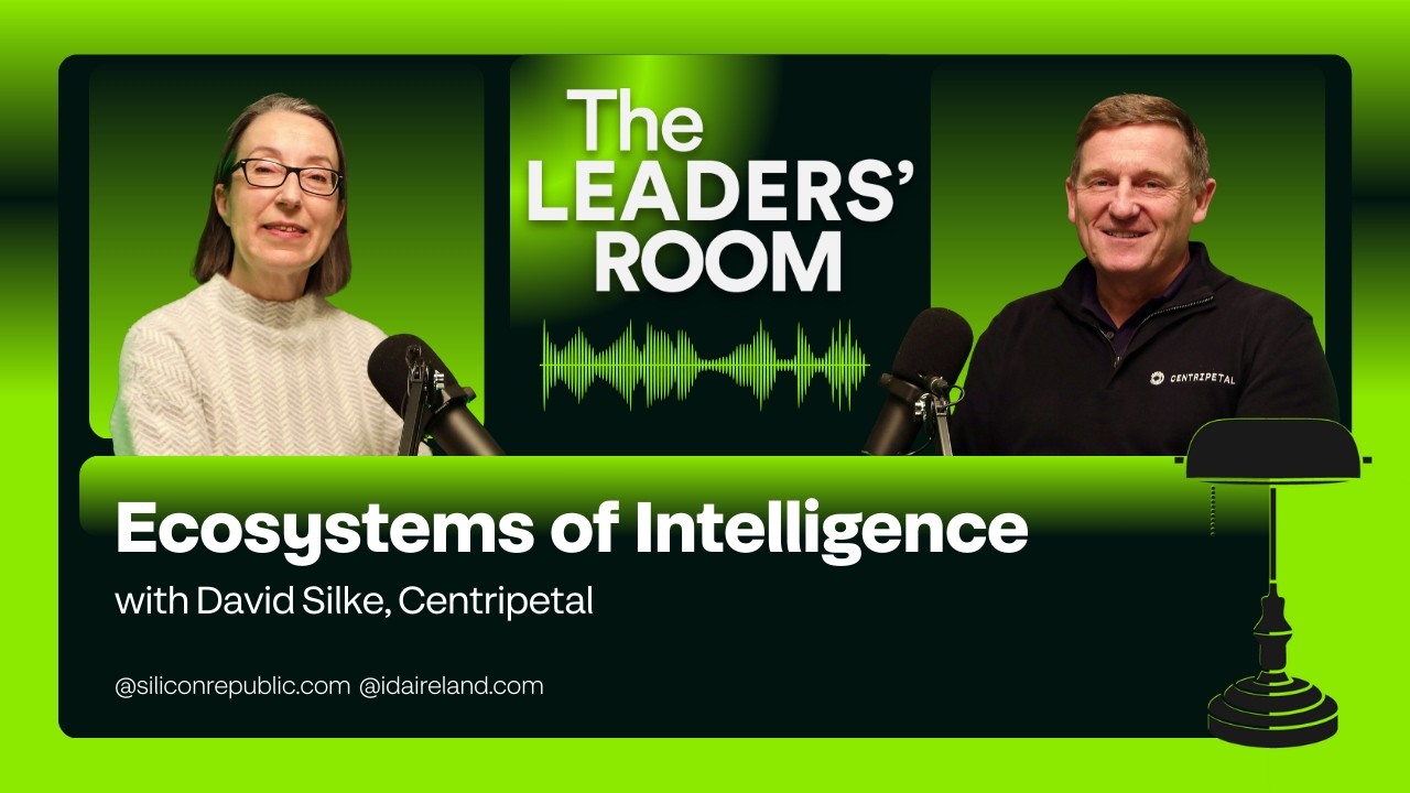 Экосистемы интеллекта, совместно с Дэвидом Силке (Centripetal)