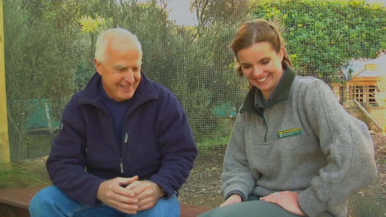Meet the Locals: Bird rescue