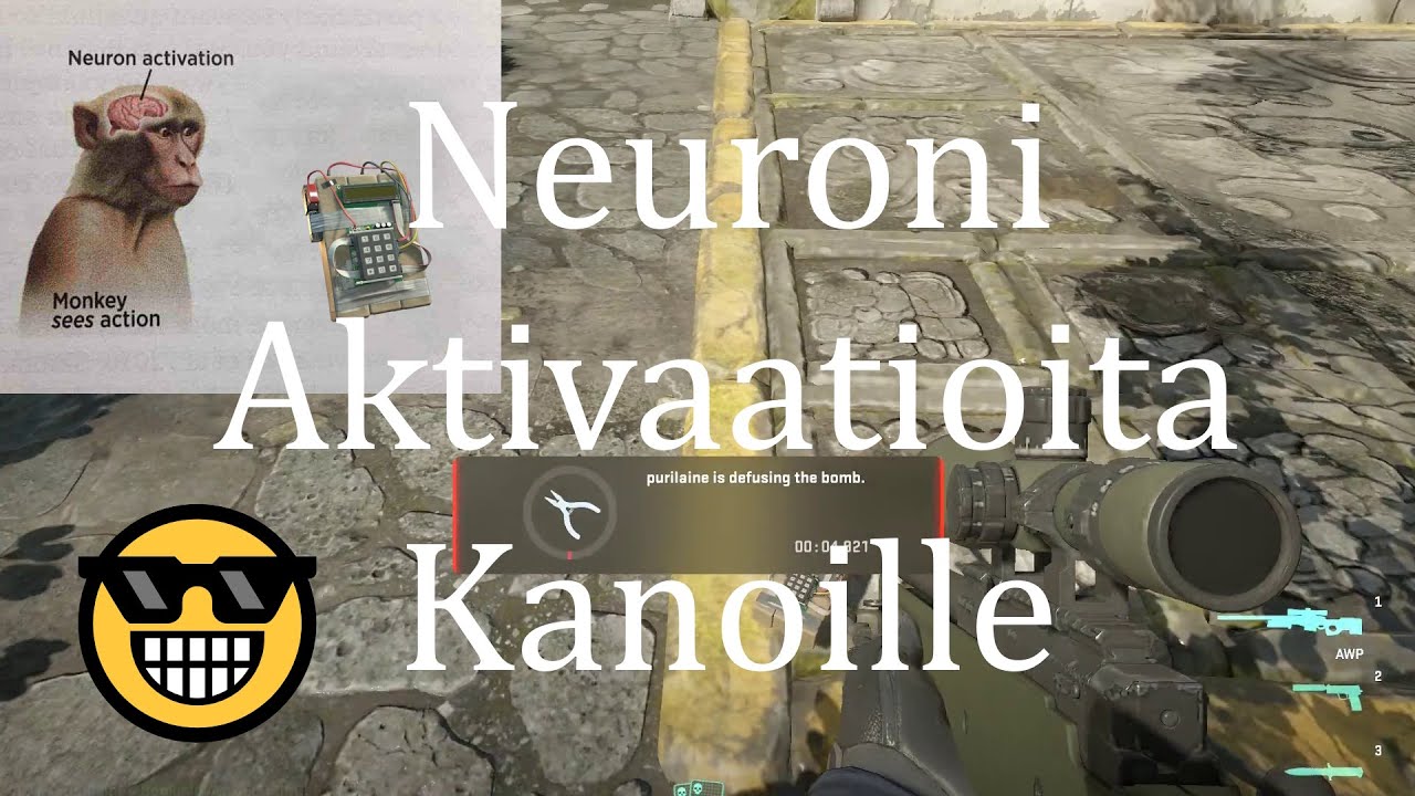 Neuroni Aktivaatioita Kanoille