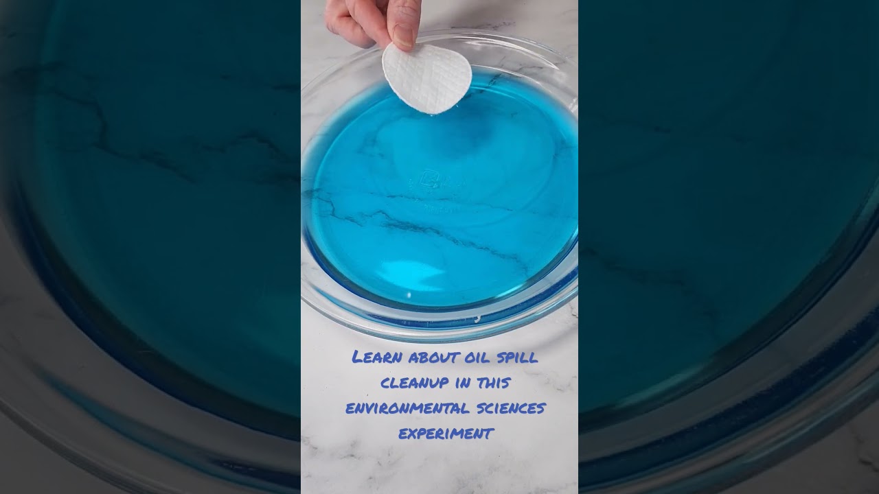 Oil Spill Cleanup Experiment - An Environmental Sciences Hands On Discovery Experiment