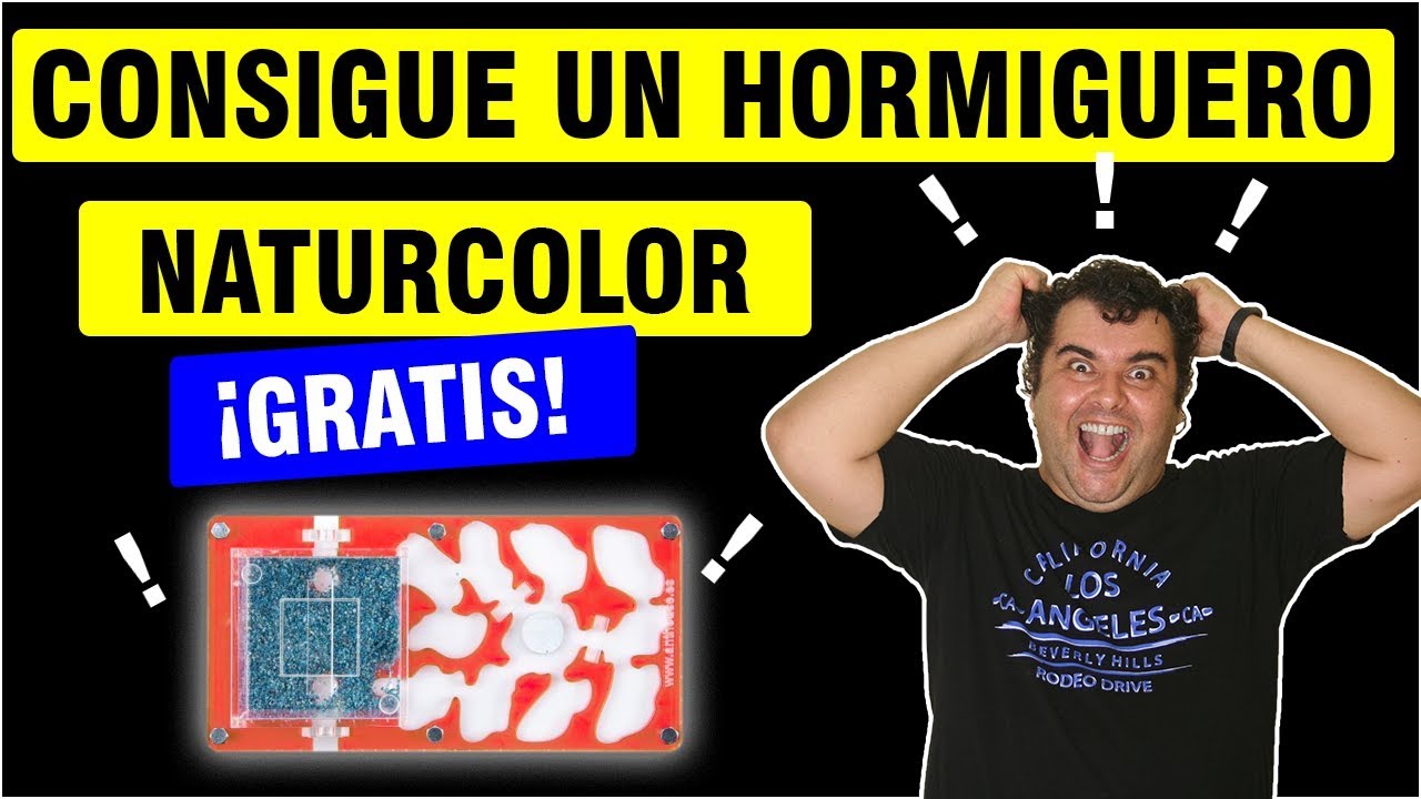🐜🏠 Cómo conseguir  un hormiguero NaturColor GRATIS ! | Hormigas en casa ✅