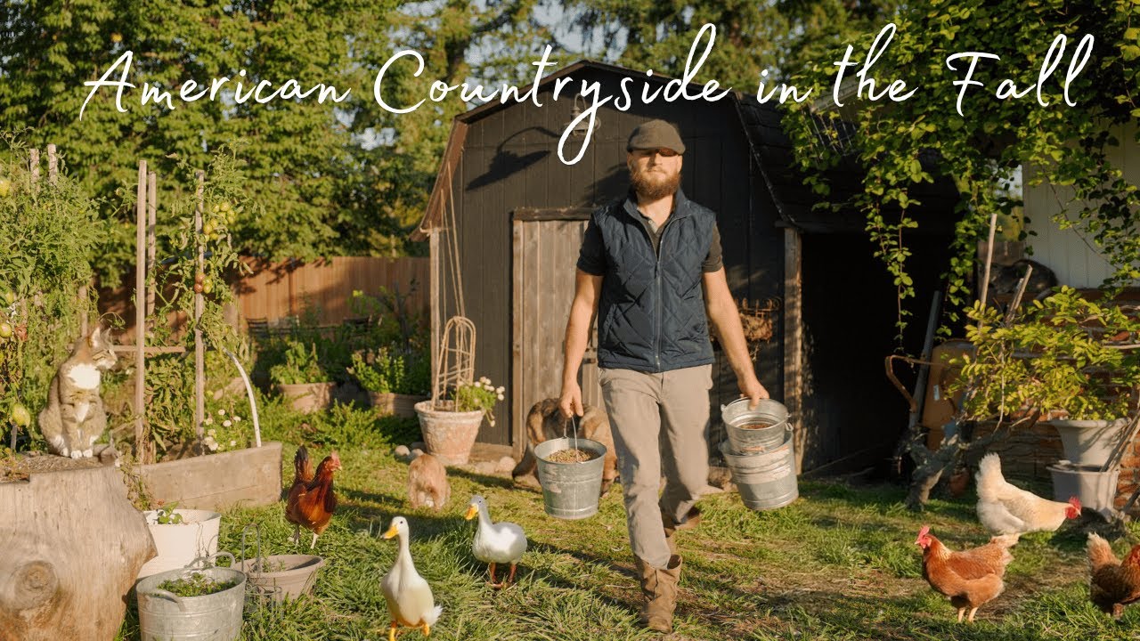Our Simple Countryside Life | Bread Baking, DIY Rollout Chicken Nest box, Day in the Life