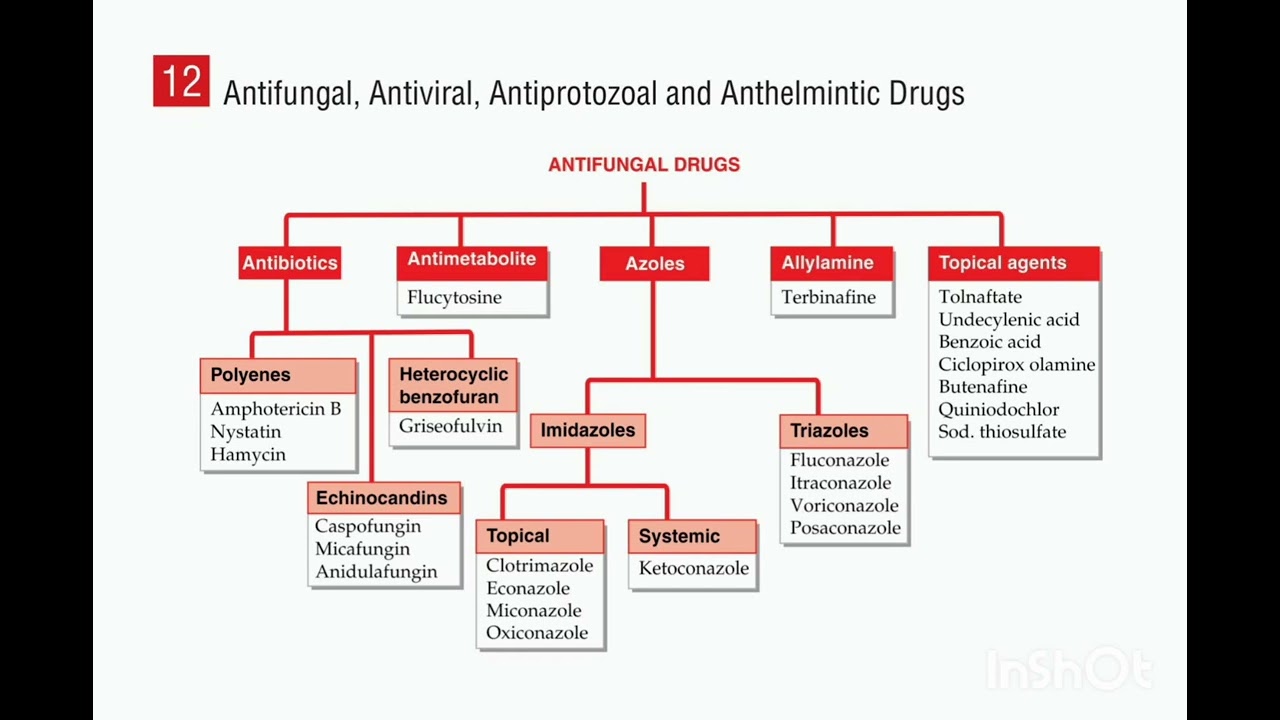 ANTIFUNGAL DRUGS CLASSIFICATION|PHARMA KD TRIPATHI|🔄 Repeat  |  📖 Learn  |  🎯 Ace‎⁨.@Pharmastan