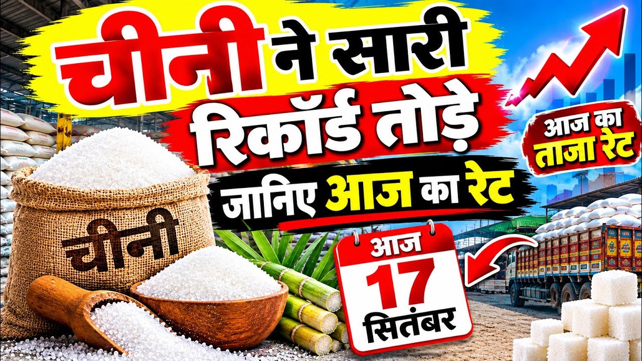 जानिए आज का रेट 🥵 || Sugar Wholesale Price |17_September Chini New price | Chini Wholsale Price