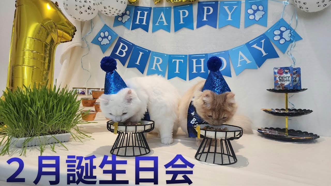 2月生まれ誕生日会