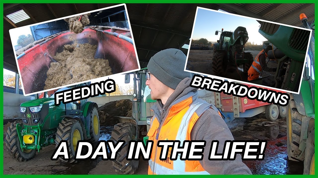 A DAY IN THE LIFE OF A FARM WORKER!