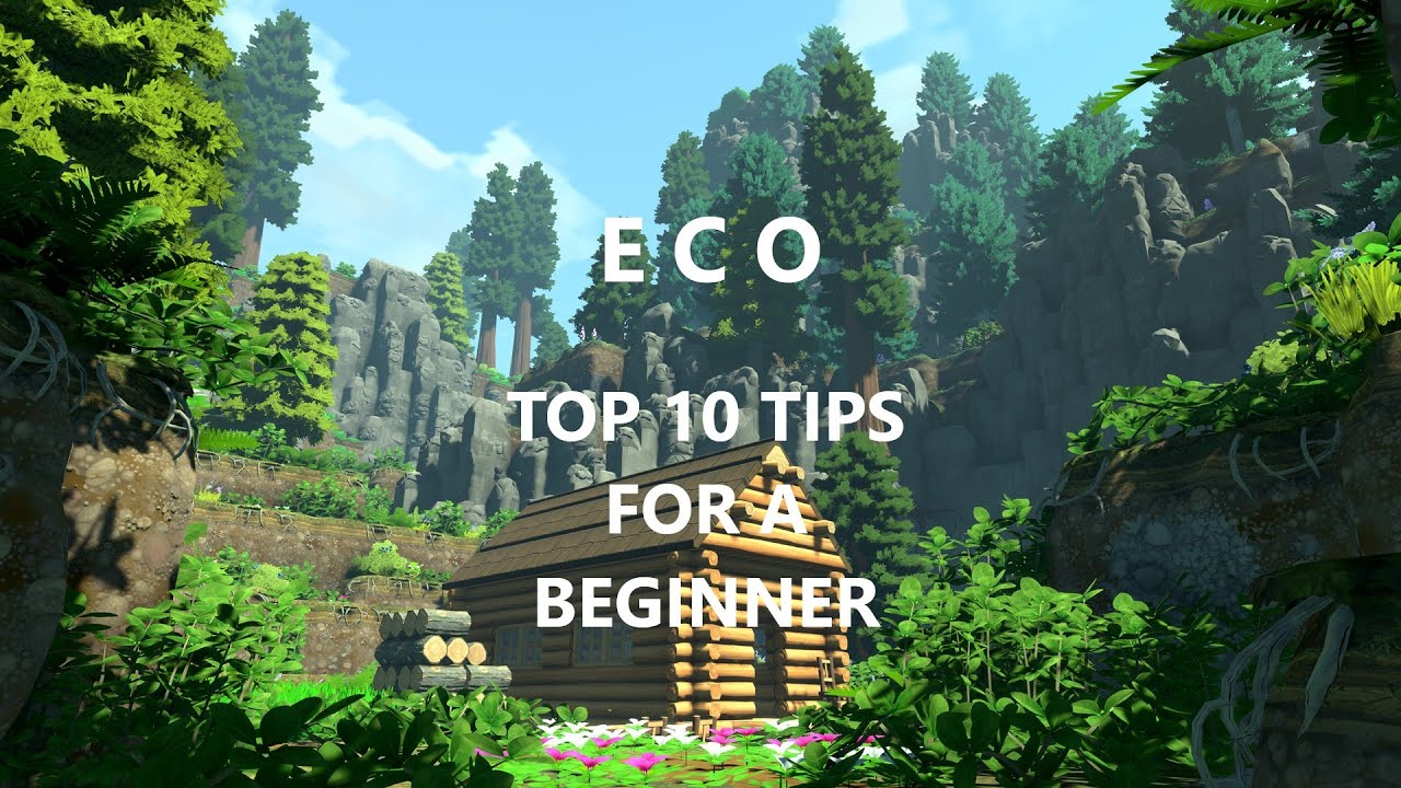 ECO - 10 Things I Wish I Knew As A Beginner