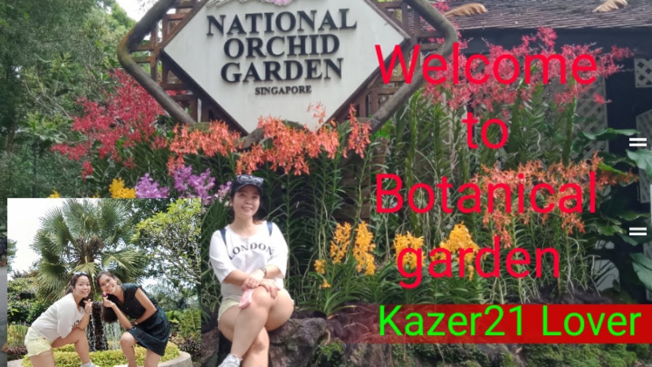 A Very beautiful Orchids and blooming flowers/ Kazer21 lover #OFWSG