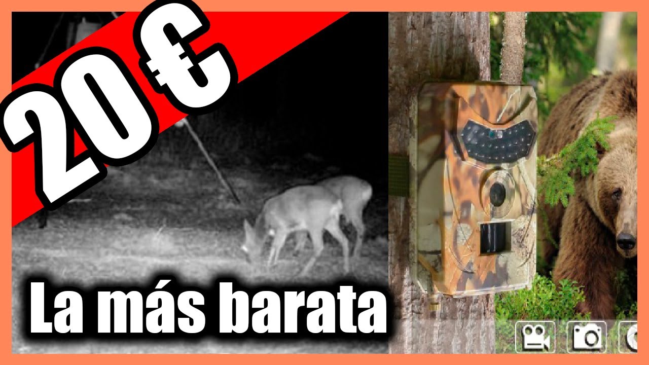 TRAIL CAMERA ▶ La camara FOTOTRAMPEO / MONITOREO  m&aacute;s BARATA de ALIEXPRESS | CAZA ANIMALES EXTERIOR