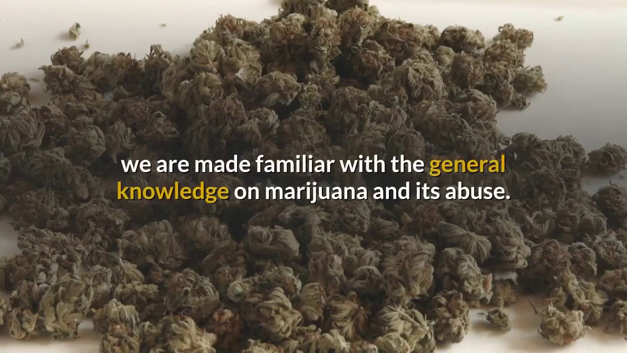 How to Quit Smoking Marijuana - Ebook + Audio + Video - HowExpert.com/quitmarijuana