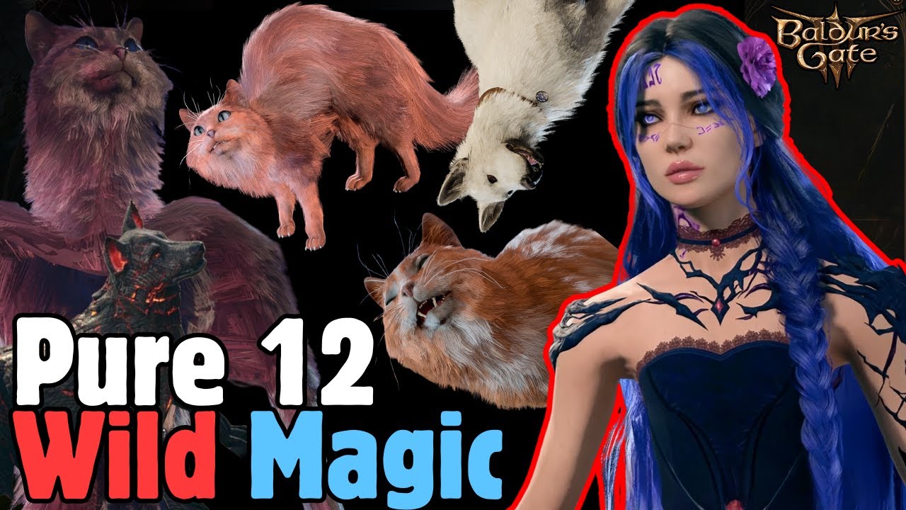 PURE 12 WILD MAGIC Sorcerer Build in Baldur's Gate 3