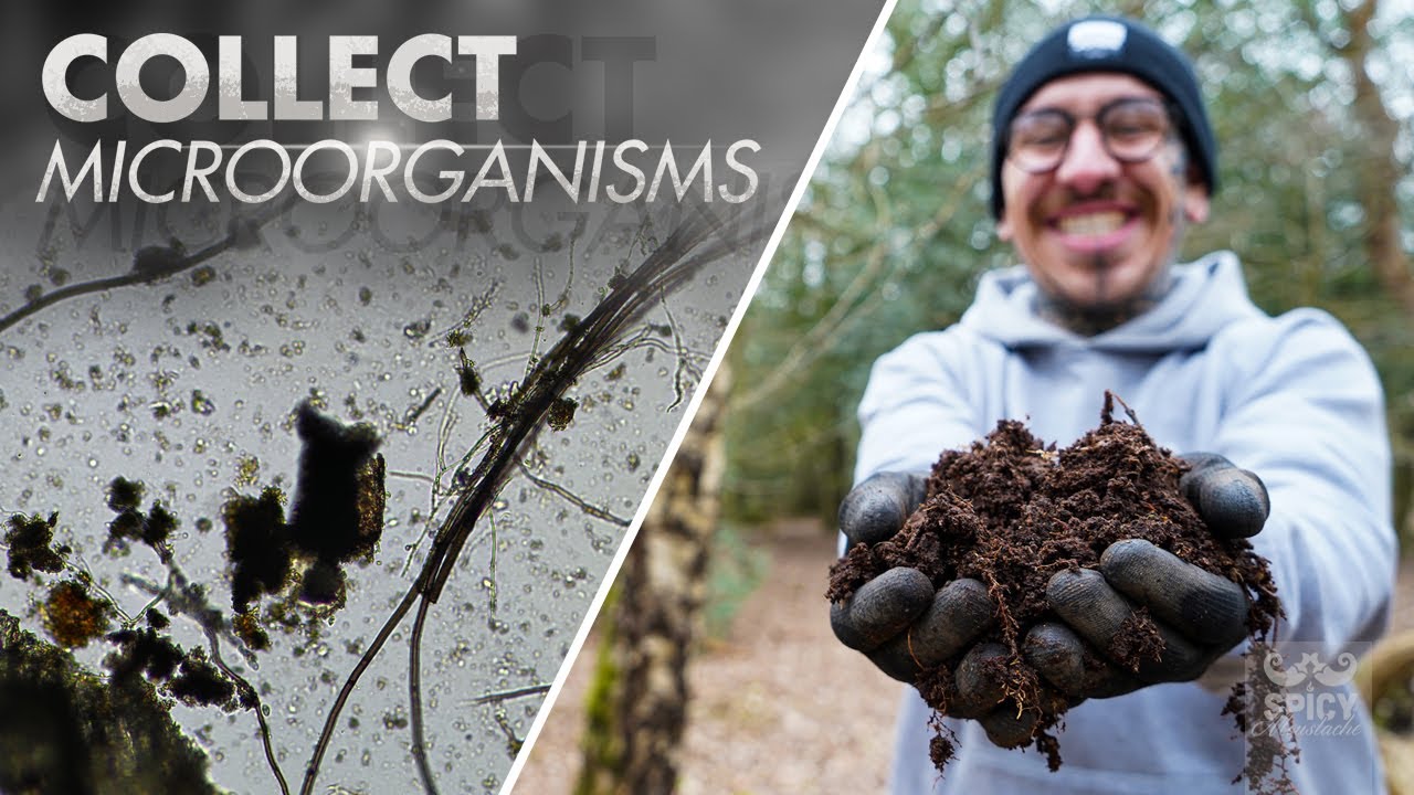 How to Collect Microorganism for free | Jadam Microorganism Solution