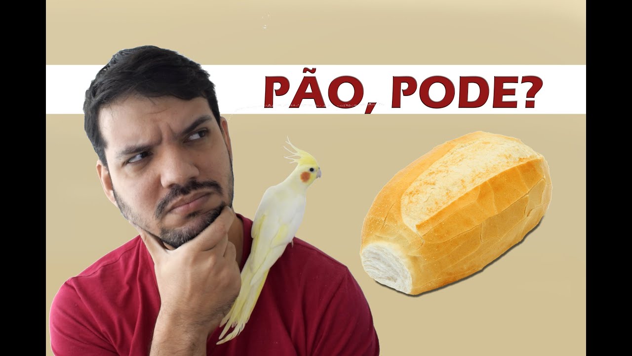 Sobre dar pão, biscoito de água e sal e massa para as aves