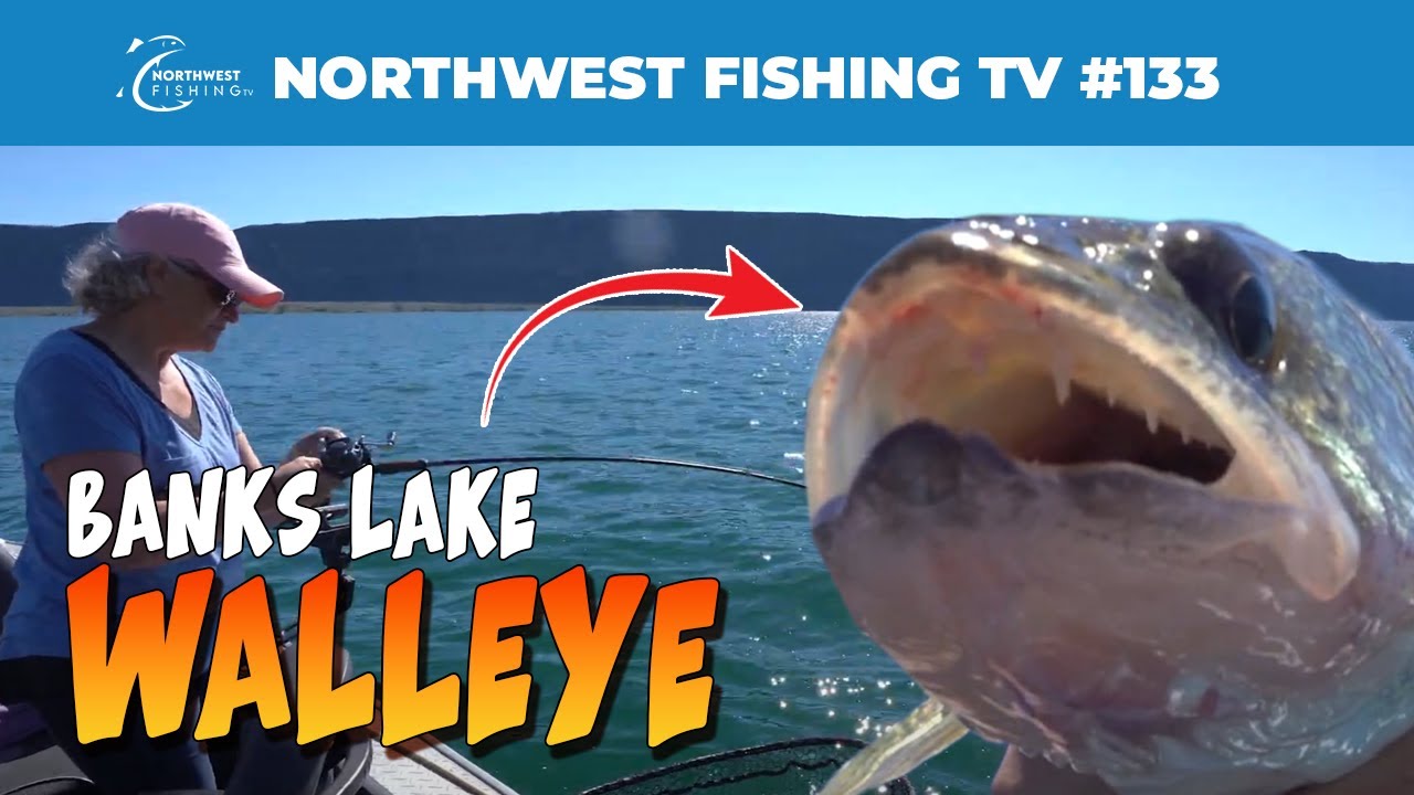 Banks Lake, WA: Walleye Bonanza | Northwest Fishing TV #133