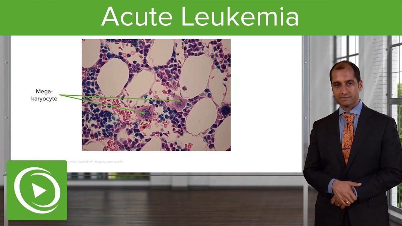 Acute Leukemia: Etiology & Subtypes &ndash; Pathology | Lecturio