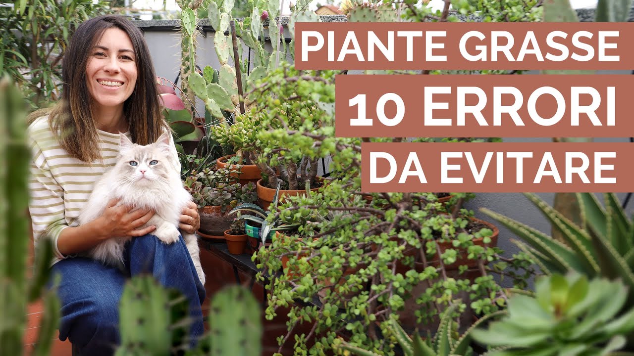 TEST: sai curare bene le tue piante grasse? | 10 errori da non fare!