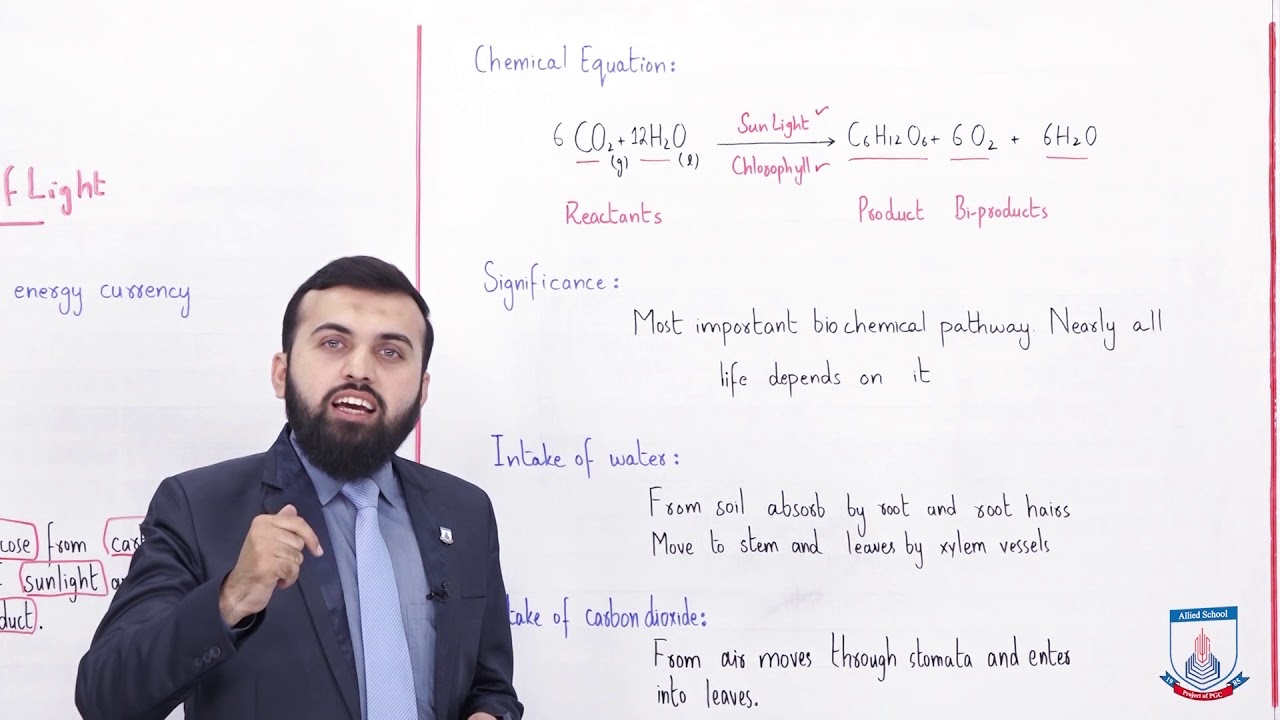 Class 9 - Biology - Chapter 7 - Lecture 3 Photosynthesis,  Effects of Light - Allied Schools