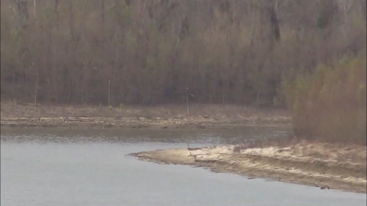 2 Your Town: Southern University looking to protect The Bluff from Mississippi River erosion