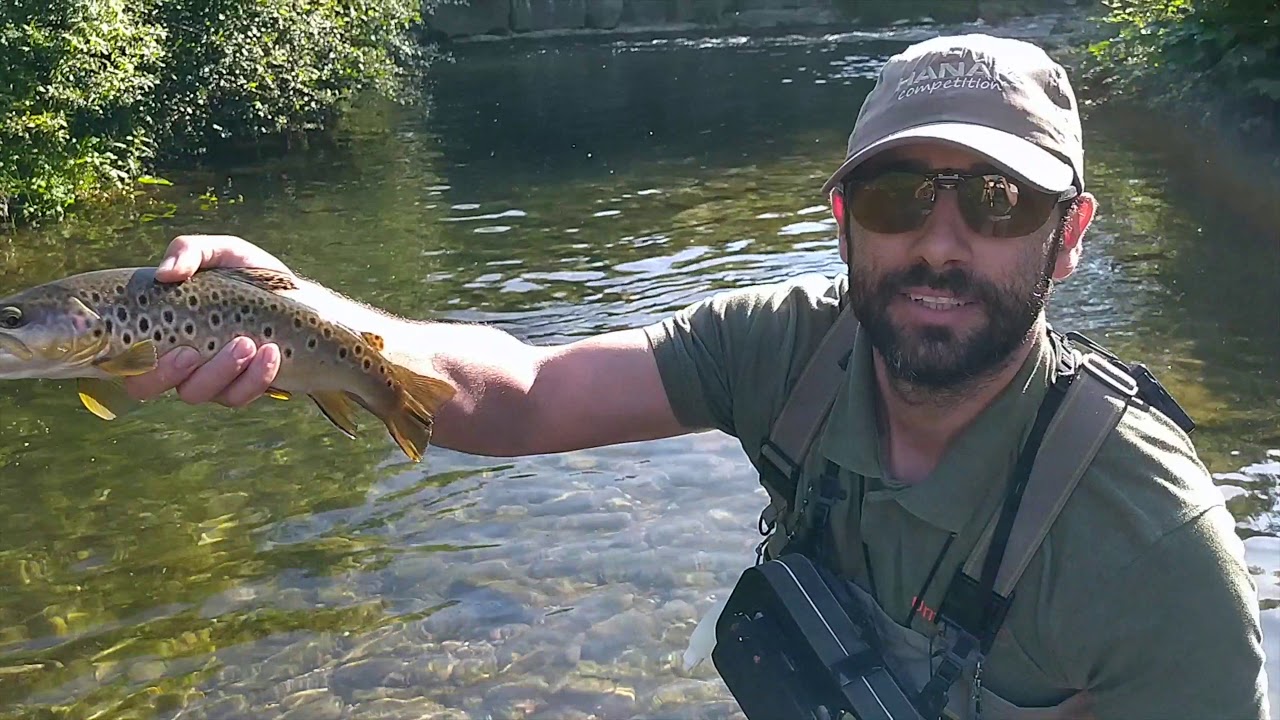 Pescando a mosca seca en el río Zelai