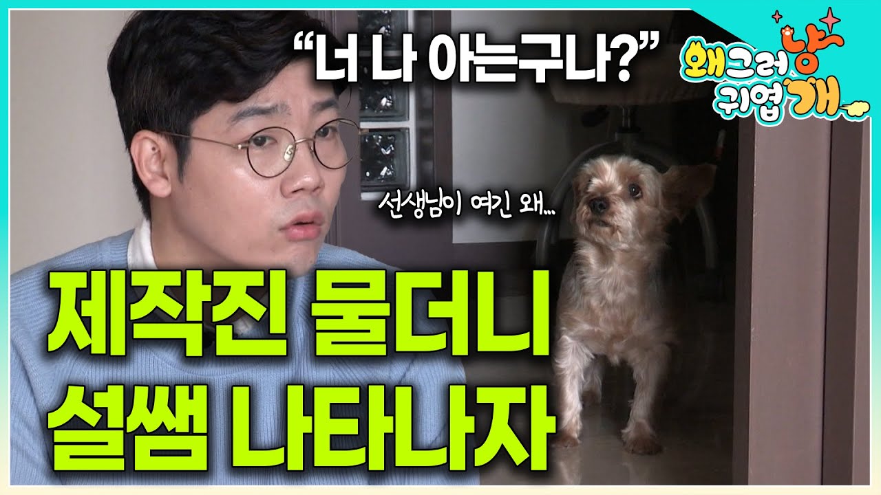 제작진 만나자마자 엄청난 공격성을 보이던 개가...설채현 만나고 180도 변했다?│#왜그러냥귀엽개