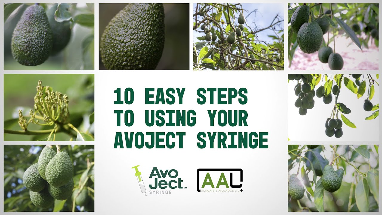 10 easy steps to using your Avoject syringe