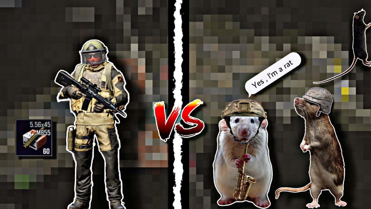 M4A1 with M855s vs Rats in Farm Lockdown | Arena Breakout