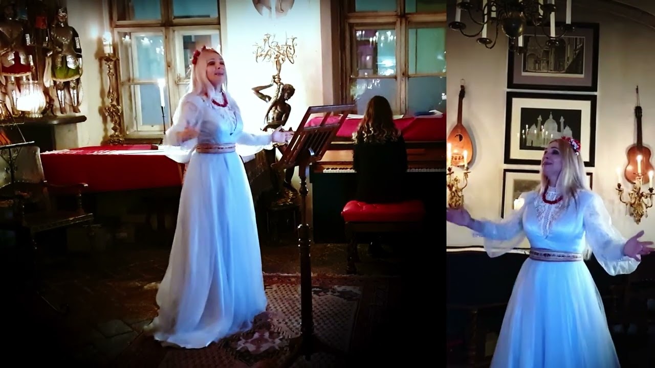 Ukrainian folk song — Oy ne svity, misyachenku | Natalya Myrna | Live in Vienna