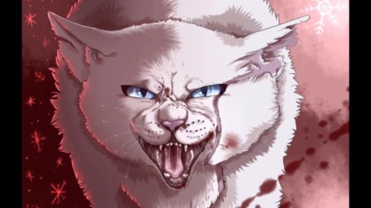 Warrior Cats Die 10 unheimlichsten Katzen