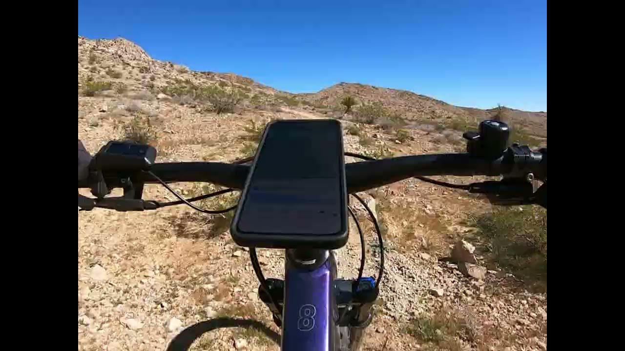 Bears Best Tour Ride