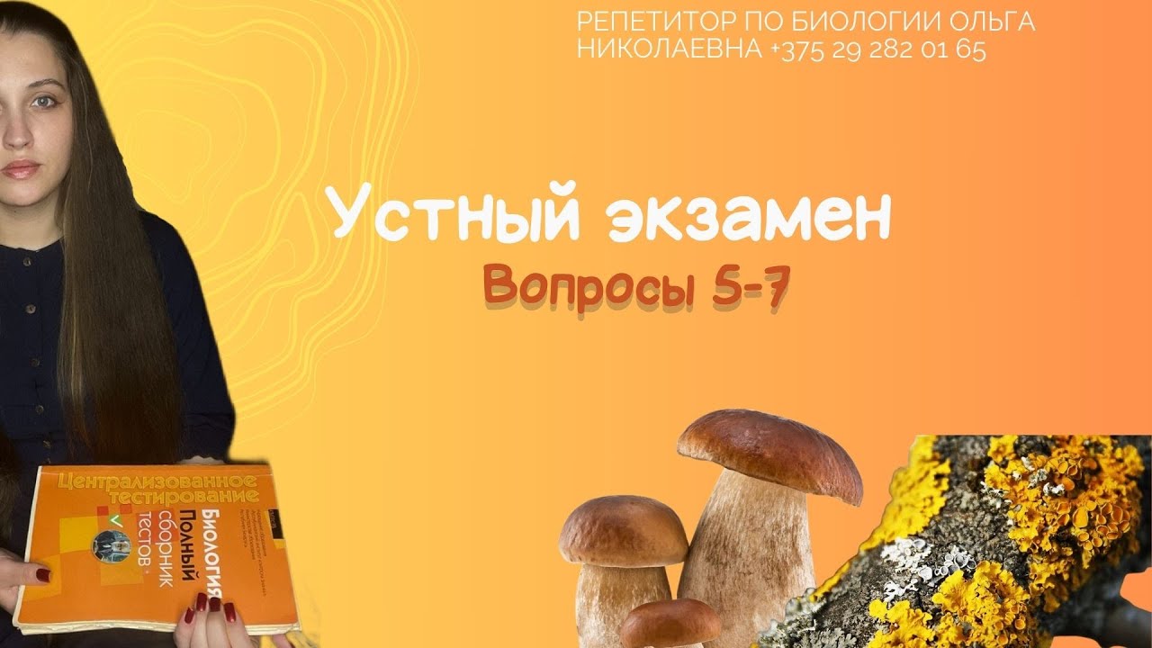 Вопросы 5 -7