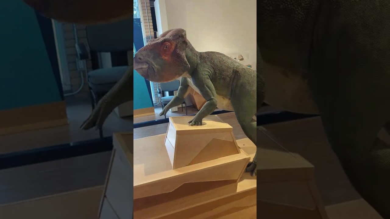 Dinosaurs of BC