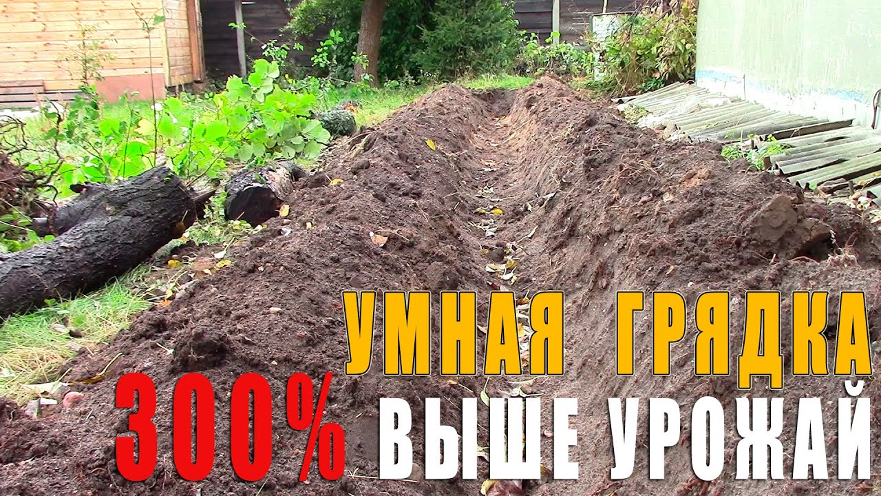 Эта грядка будет давать 300% урожая без прополки и полива - Грядка Розума - Бублика