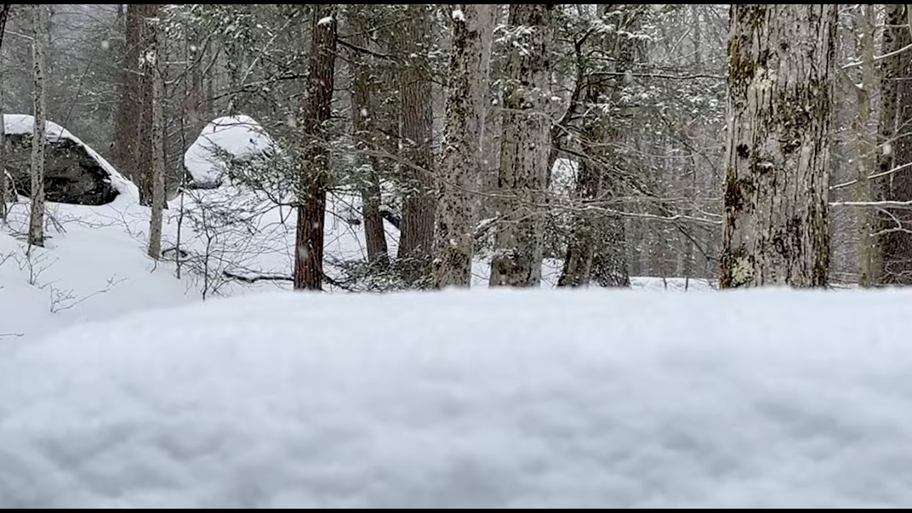 It Looks Like Spring Snow #live #livestream #winter