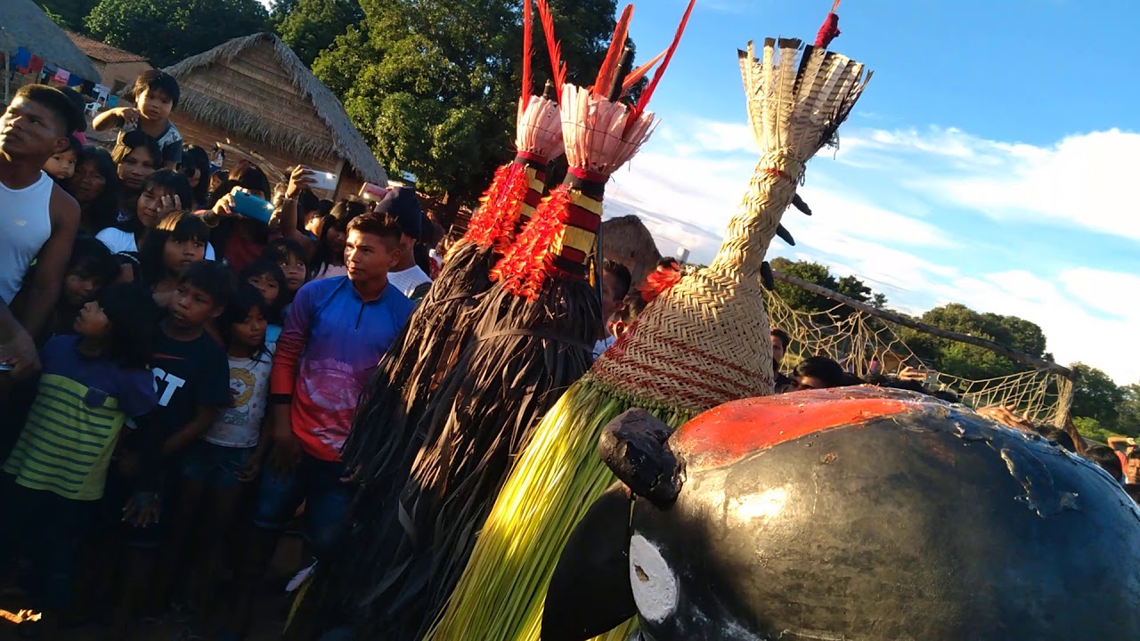 Aruan&atilde; novo em aldeia Fontoura