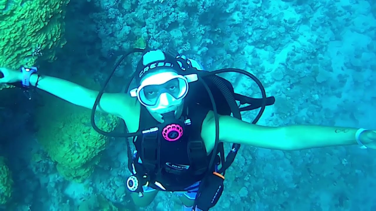Immersioni - ISOLA DI TIRAN - Jackson Reef - Gordon Reef - RAS Bob -  Sharm El Sheikh - 31 Agosto 23