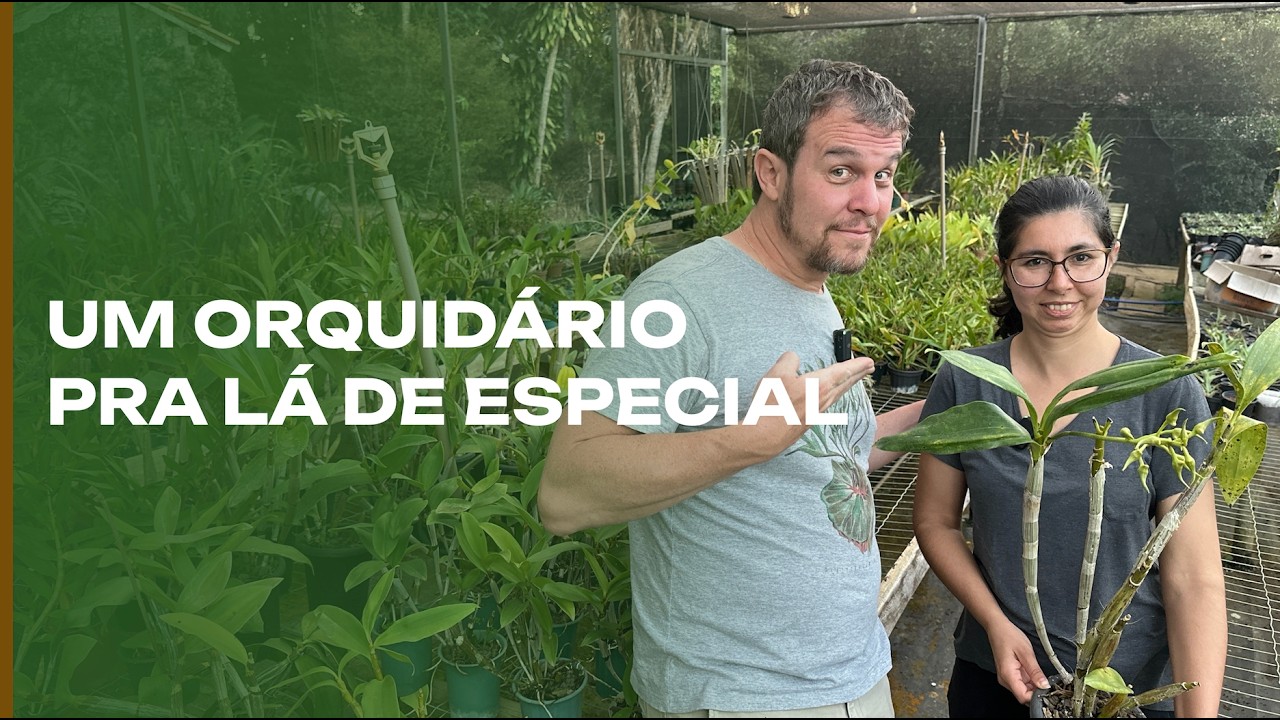 Um orquidário pra lá de especial em Tiradentes.