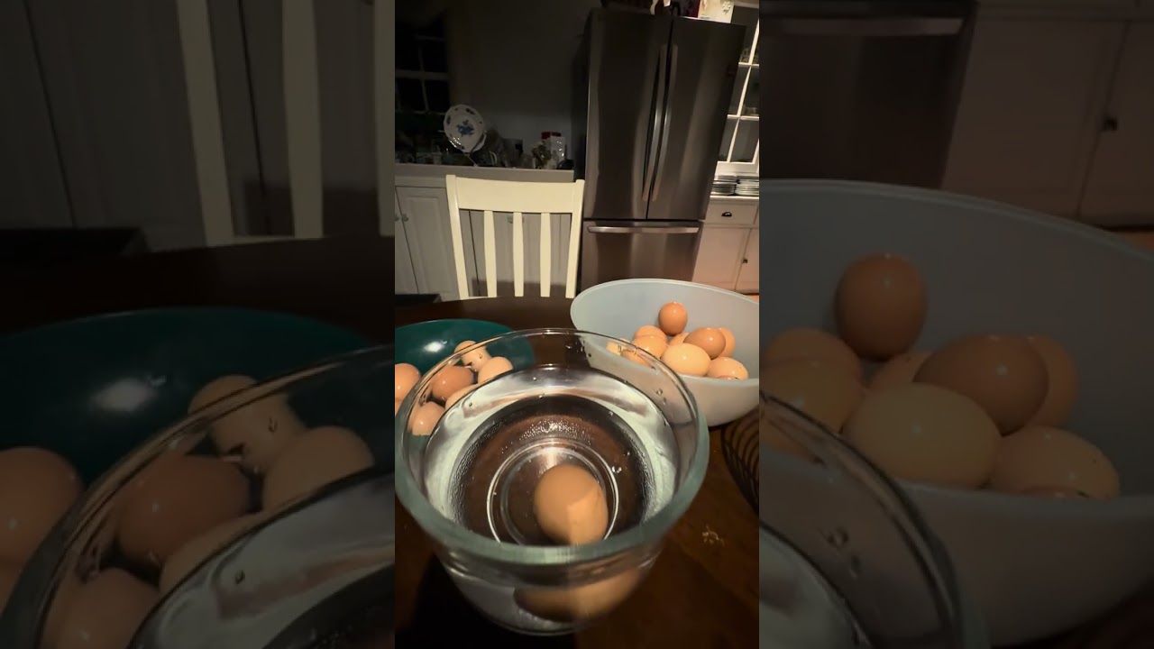 testing my eggs using the float test