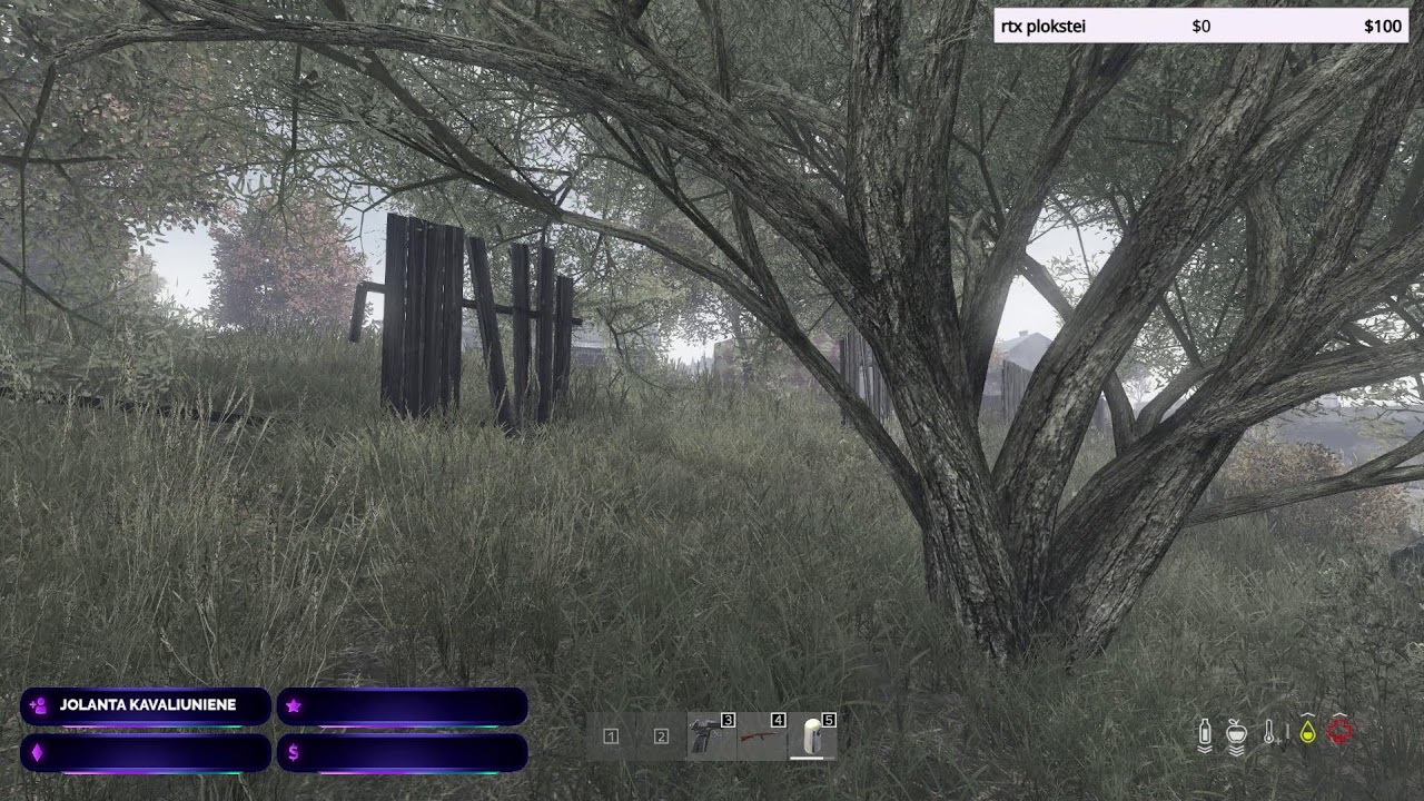 DAYZ