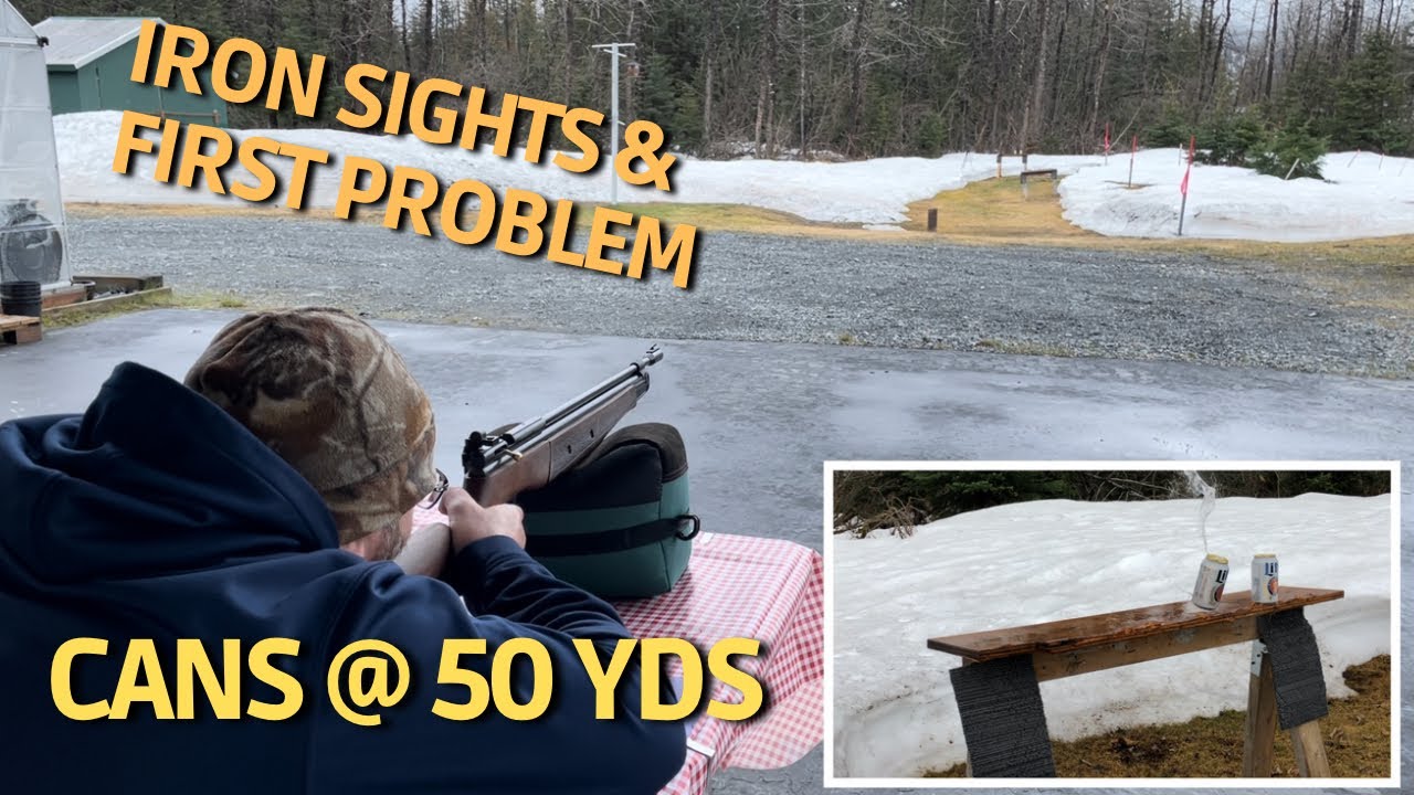 Crosman 362 Anniversary - impressive accuracy!