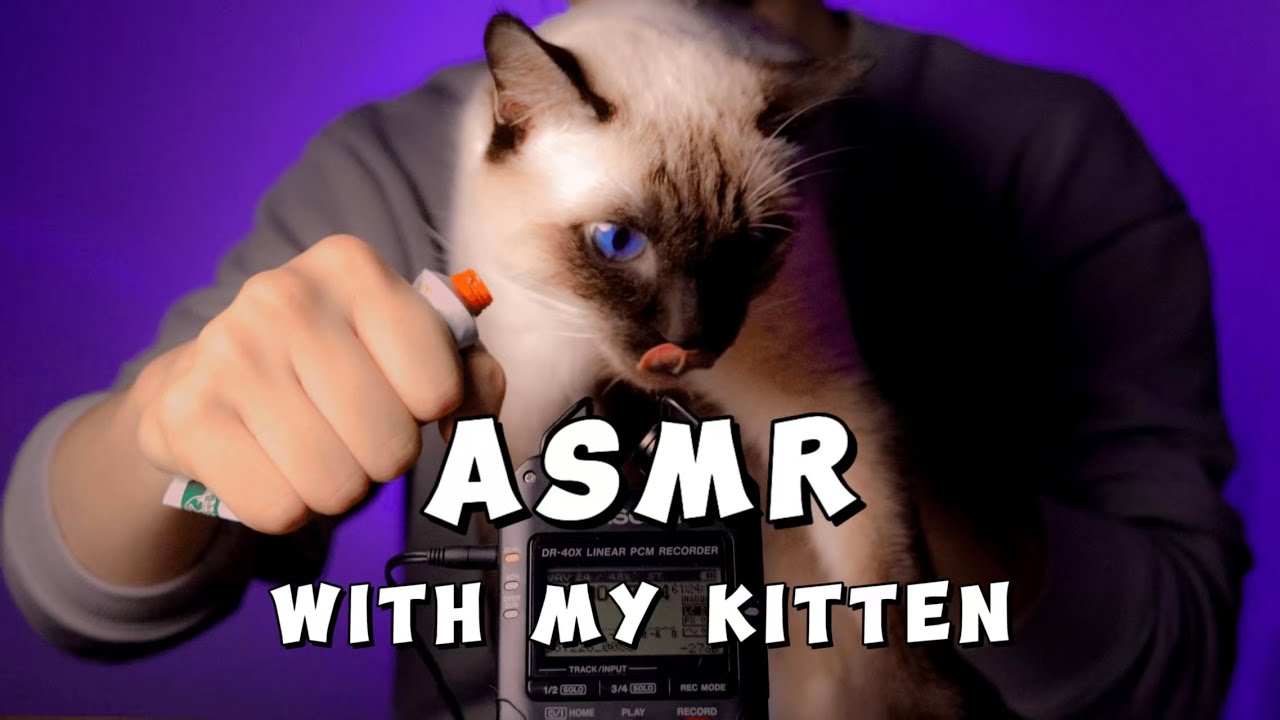 I Invited My Kitten to Help You Sleep | Kitty Ear Licking, Pine Cone & Glass Beads ASMR 🐱🌙