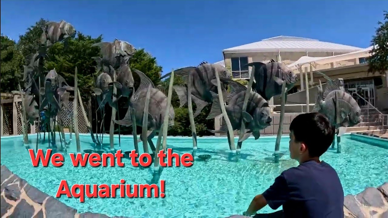 We went to the aquarium! 8/25/25