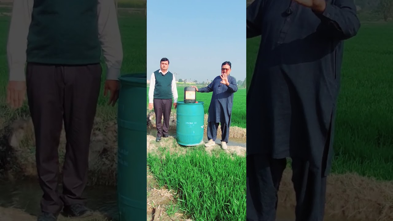 اگر فصلوں کی پیداوار بڑھانی ہے تو100سے زیادہ اثر رکھنے والی ڈینو DAP