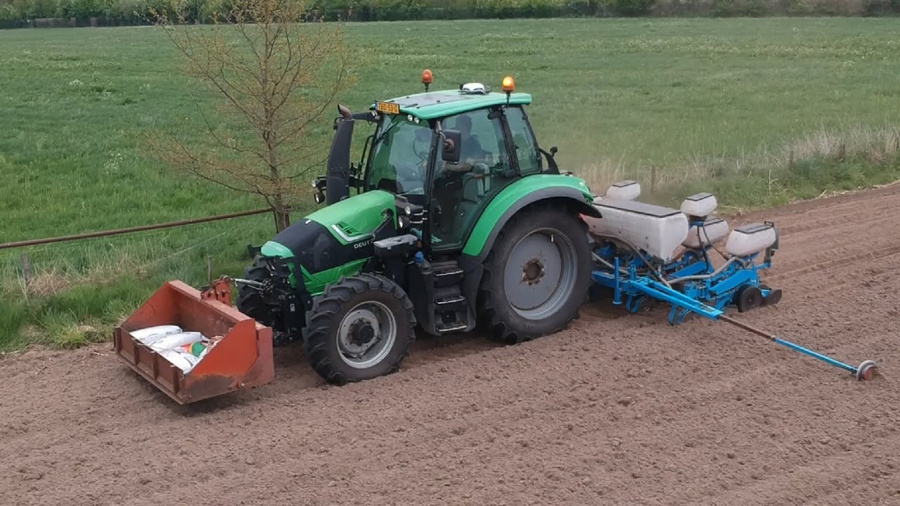 Winkelhorst drilling corn