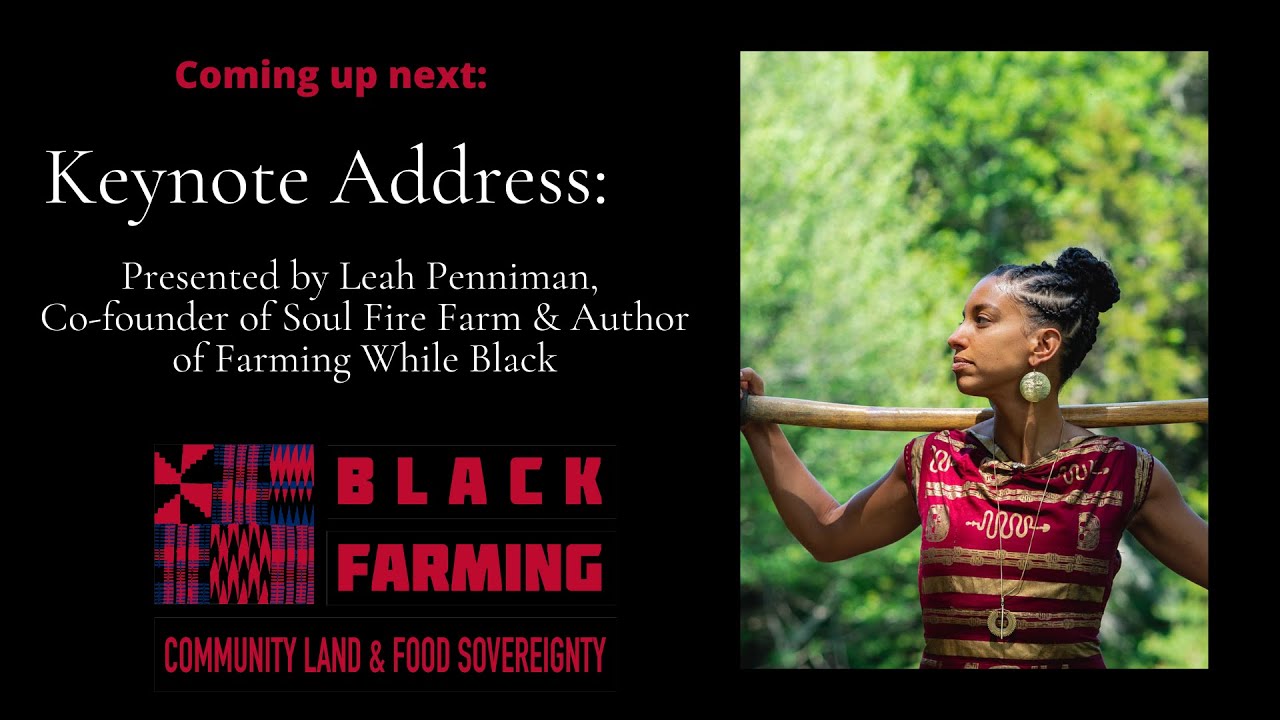 Farming While Black: African Diasporic Wisdom for Farming and Food Justice By Leah Penniman