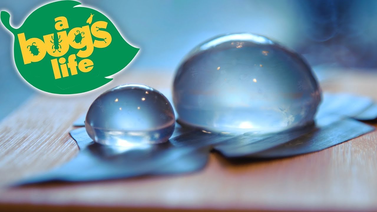 WATER DROPLET food from A BUG'S LIFE! | Feast of Fiction