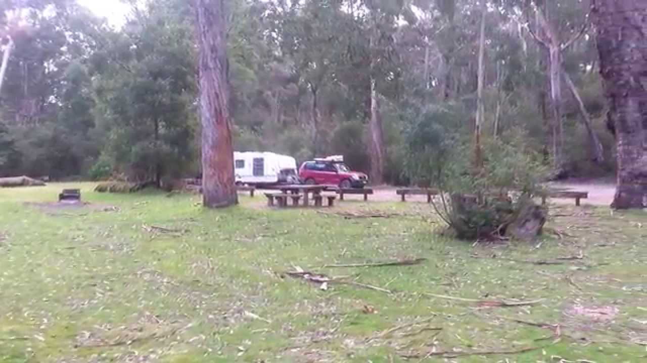 Log Crossing Picnic Camp