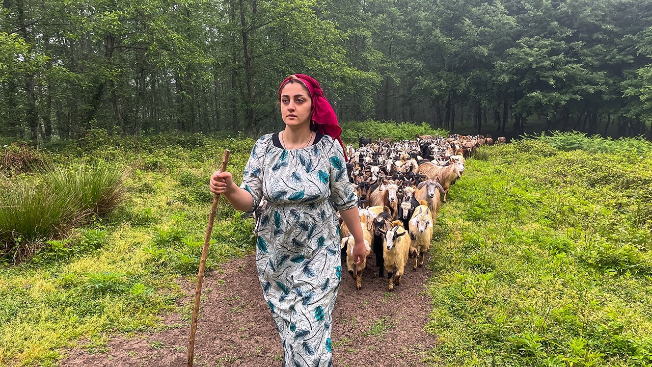 Discover the Authentic Nomadic Life in the Alborz Mountains of Iran